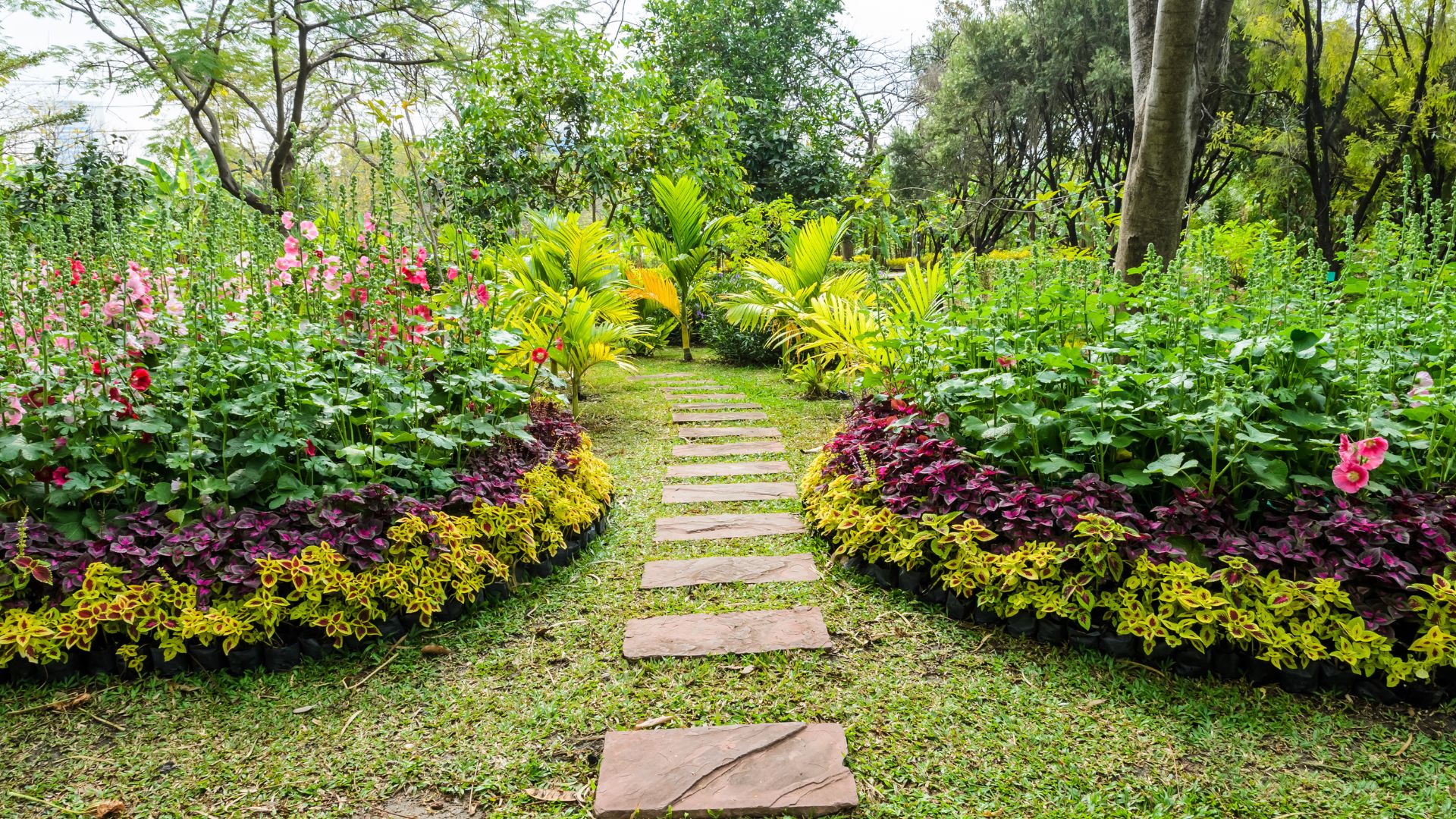 Lush garden pathway with colorful plants, stone steps, and tropical greenery