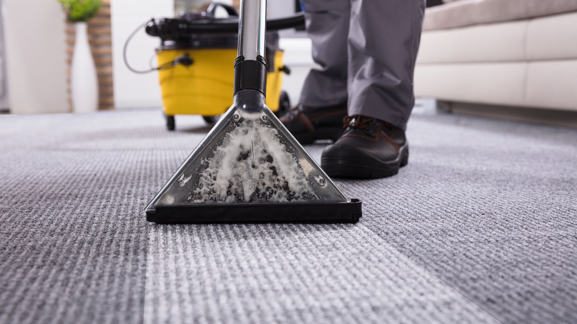 Carpet cleaning with professional steam cleaner and yellow vacuum