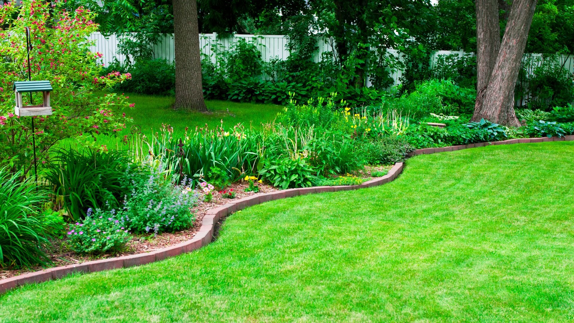 Manicured backyard with curved garden beds, green lawn, and white fence